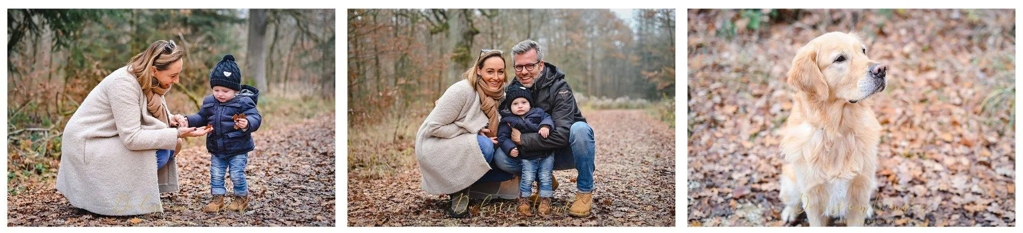 Collage Familien-Fotoshooting mit Hund