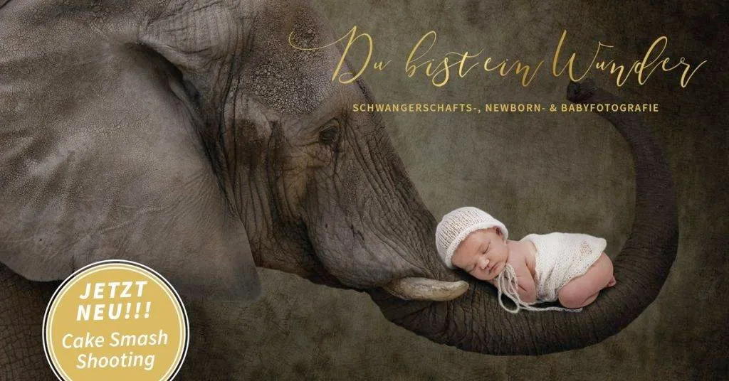 Newborn Fotoshooting Empfehlung Nürnberg