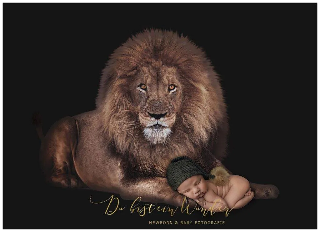 Newborn Fotografie mit Löwen-Thema