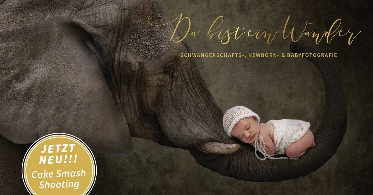 Neugeborenes Baby schlafend auf Elefantenruessel - kreatives Composing