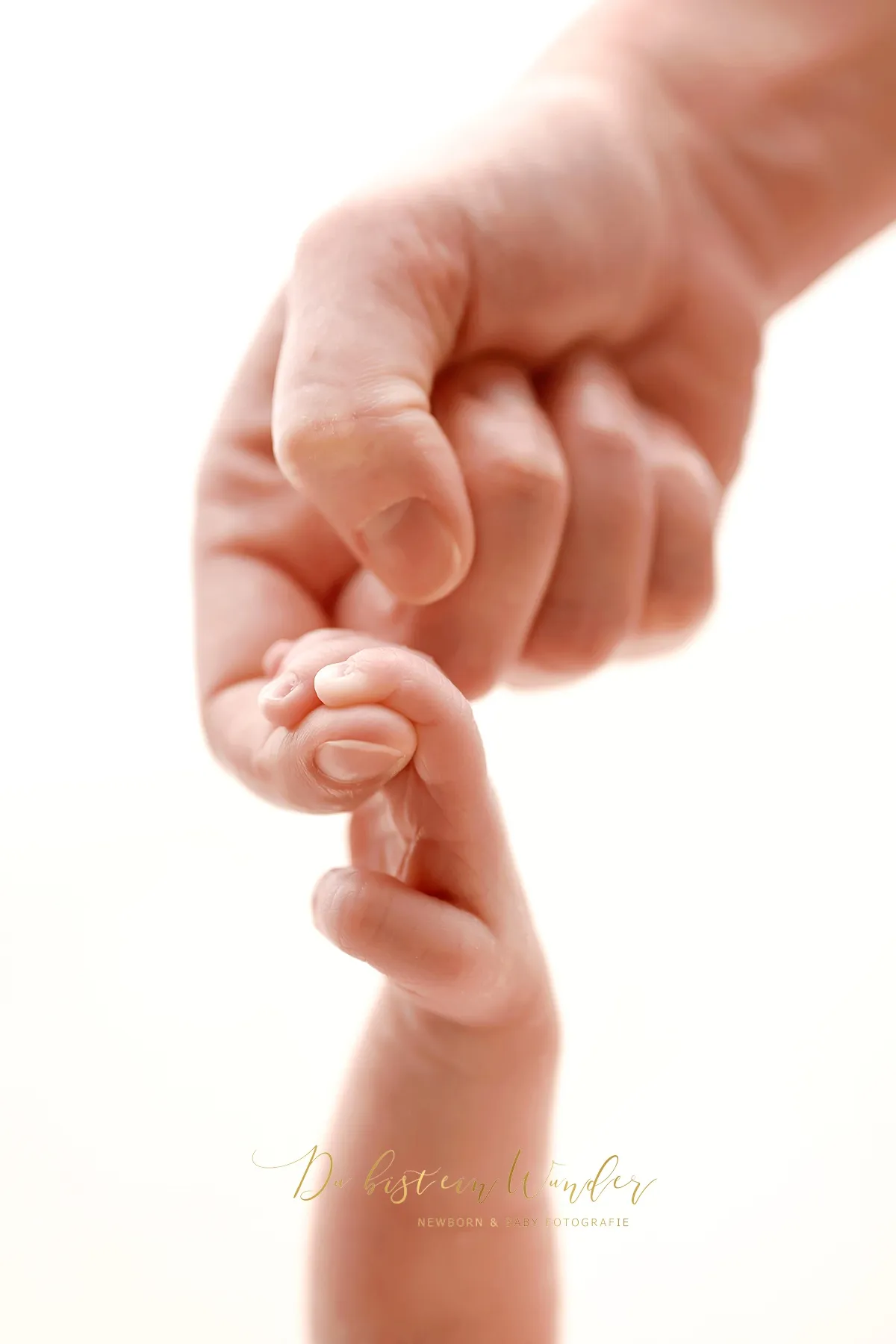 Newborn Fotografie