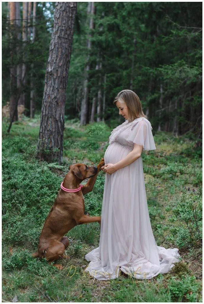 Outdoor Shooting einer schwangeren Frau mit ihrem Hund