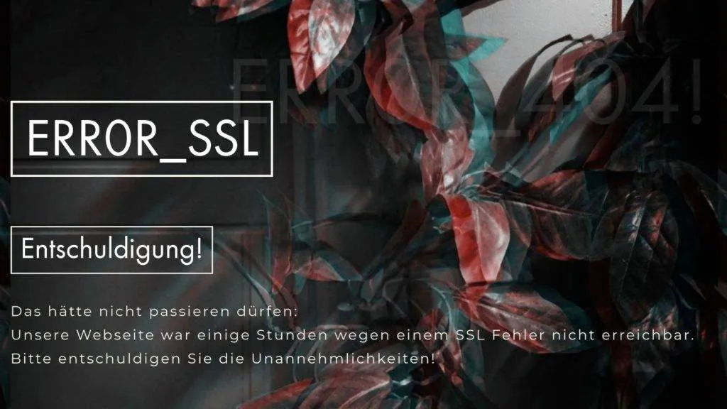 Website Störung - Seite nicht erreichbar