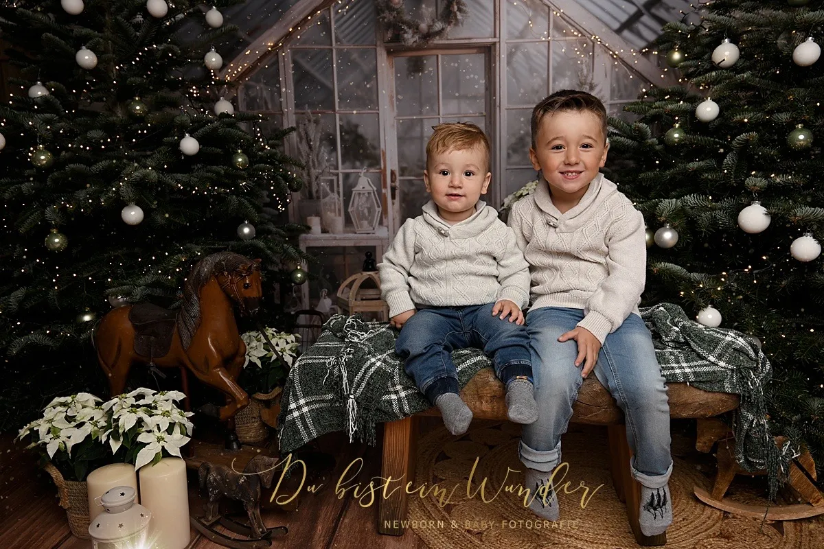 Zwei Brüder sitzen zusammen auf einer Bank im weihnachtlichen Wintergarten mit Tannenbäumen und Kugeln